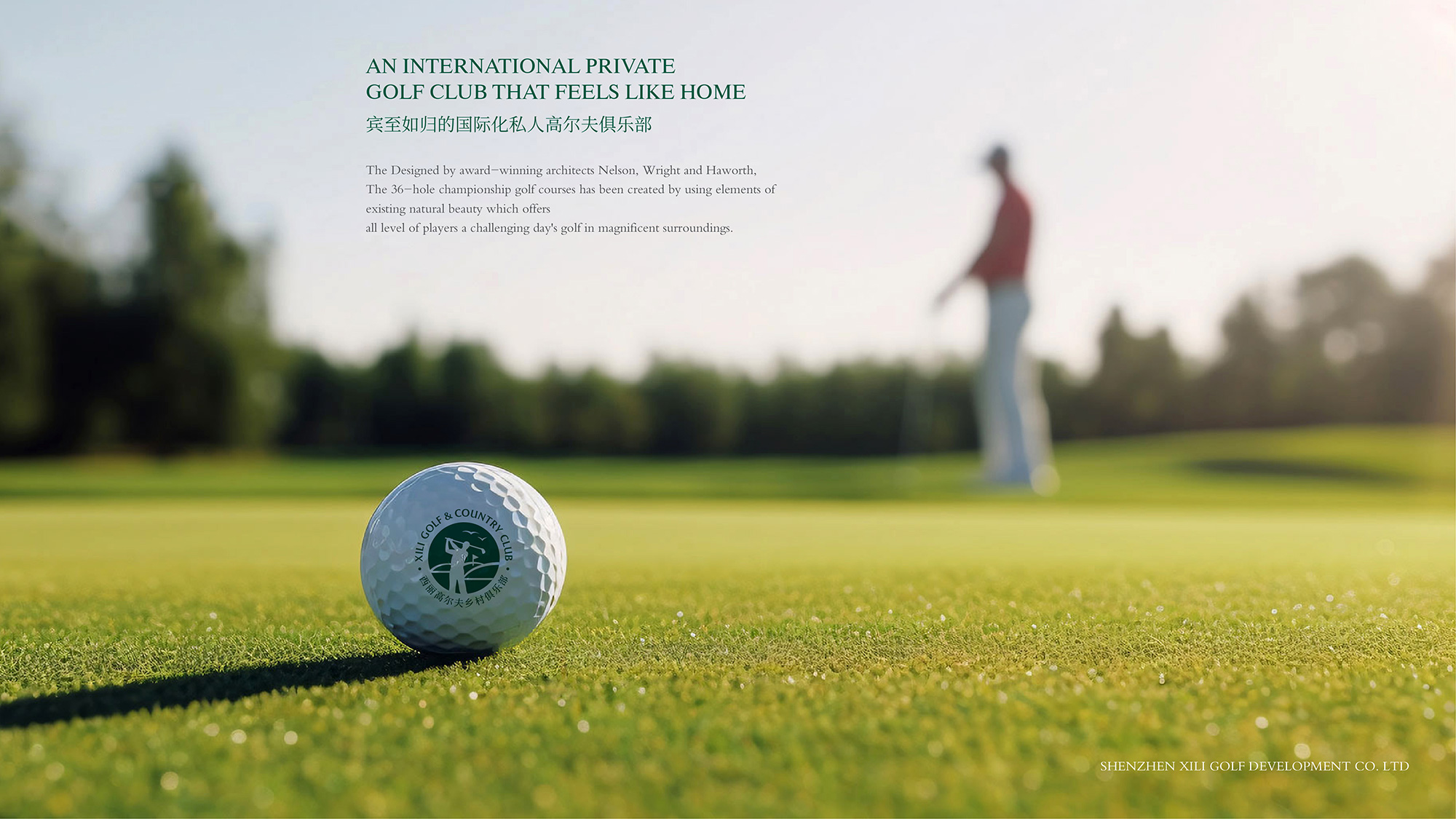 深圳LOGO設(shè)計